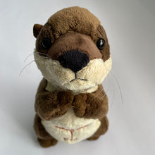 Load image into Gallery viewer, OTICA - PSP Mascot