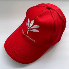 Load image into Gallery viewer, Cap - red colour
