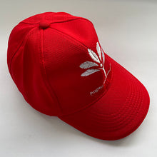 Load image into Gallery viewer, Cap - red colour