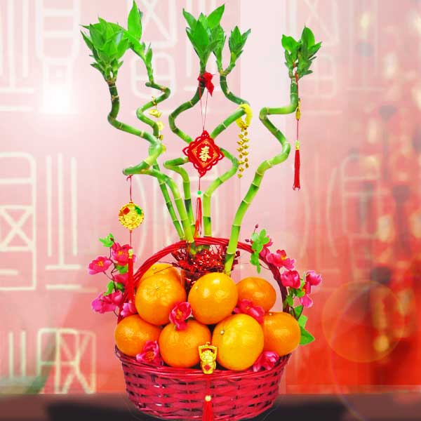 5 Curly Bamboo With 18 Oranges New Year Basket Arrangement - CY078